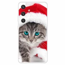 Red Hat Cat
