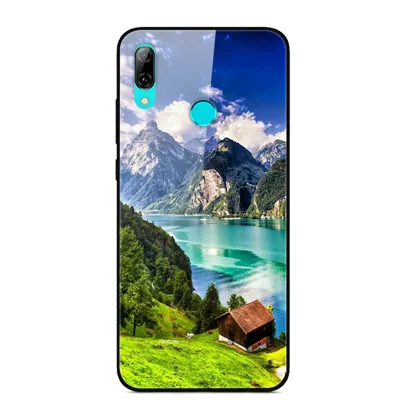 Pattern Printing Glass Back + TPU Hybrid Phone Cover for Huawei P Smart Z - Green Hill Cottage