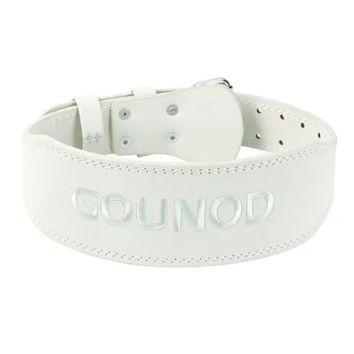 GOUNOD HY036 Weightlifting Belt Matte PU Leather Fitness Squat Deadlift Powerlifting Waist Support, Size M - Green