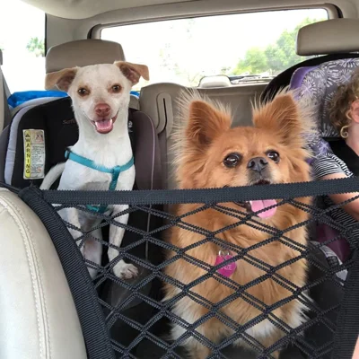 Red de Aislamiento de Mascotas Cubierta de Asiento de Protección de Vehículo para Perros