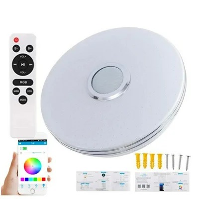 Smart Music Ceiling Light LED RGB Color Changing Lamp with Remote Control Speaker for Home Party - Double Silver Line