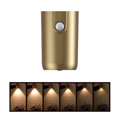 Applique murale magnétique rechargeable avec capteur de mouvement, projecteur d'entrée activé par mouvement, plaque décorative pour porte - Or