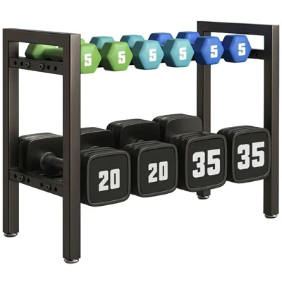 Banco de Halteres Metálico Ajustável 2 Níveis Suporte para Halteres Ginásio em Casa Kettlebells
