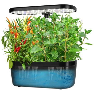 6-Pods Slimme Waterkwekerij voor Binnen met LED-Groeilamp - Zwart / EU-Stekker