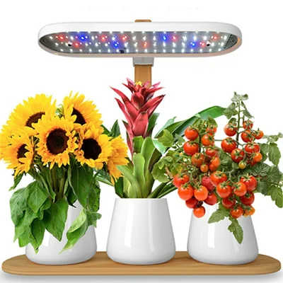 Halo-01 Bambus ABS Bureauplantenverlichting met Volledig Spectrum Groeilamp - EU-stekker