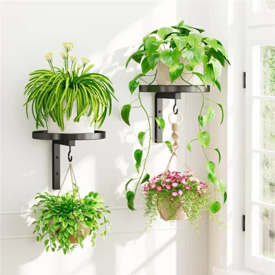 2Pcs Wall-Mounted Plant Stand Metal Hooks Indoor Outdoor Garden Decor Hanging Bracket with Anti-Fall Rim (Without Flowerpot) - Black
