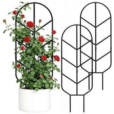 2Pcs 30 inch Plant Trellis Solid Steel Rust-Resistant Arch Top Garden Stake for Indoor Outdoor Climbing Plants - Black