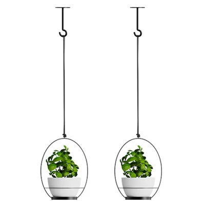 001 2-in-1 Hanging Planter Basket Wall-mounted Indoor Flower Pot Holder with Hooks