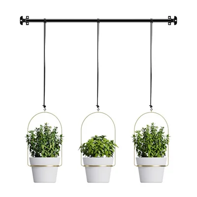 001- ZJY-PT3 Hanging Flower Pot Holder Movable Plant Hangers (Set of 3) - Golden Basin Ring