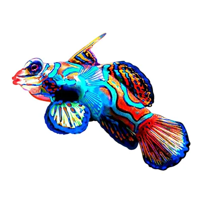 0417 20x0.5x15.5cm Iron Fish Shape Wall Hanging Decor Garden Decoration Home Pendant - Style 1