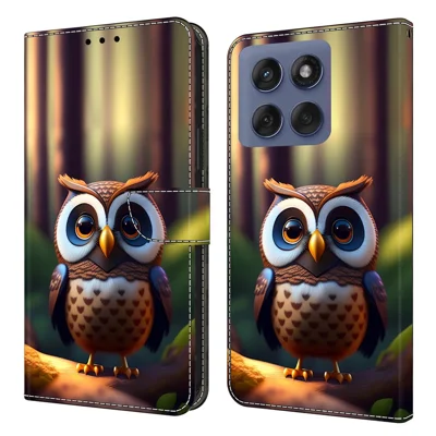 For Motorola Edge 60 Pro 5G Leather Case Pattern Printing Wallet Stand Flip Phone Cover - Brown Little Owl
