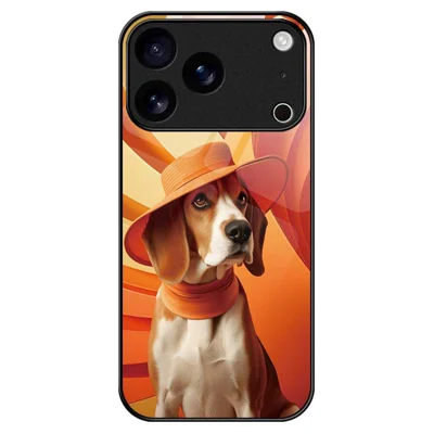For iPhone 17 Pro Case Anti Drop PC TPU Tempered Glass Pattern Printing Phone Back Cover - B0168