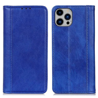 Für iPhone 15 Pro Split Lederhülle Geldbörse Litchi-Textur Magnetverschluss Handyhülle - Blau
