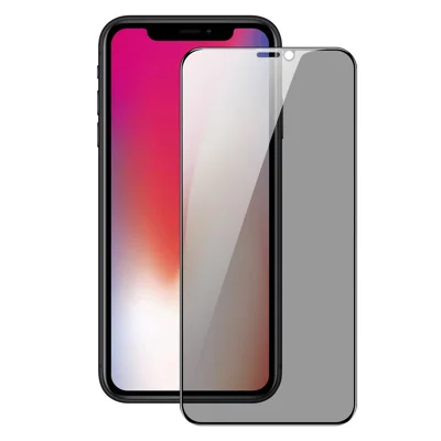 DUX DUCIS för iPhone X / XS 5,8 tum Anti Spy Helskärmsbeskydd 2.5D Platt Skärm Full Limning Hög Aluminium-kiselfilmsfilm
