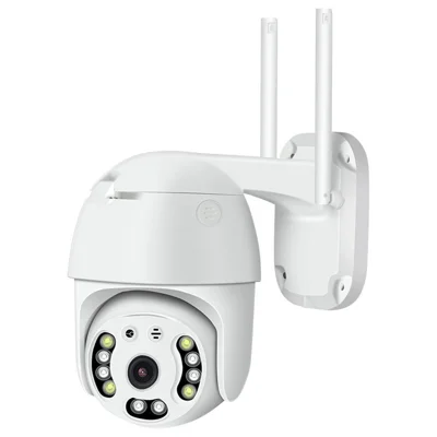 CP08-10 10-LED HD 1080P Wireless Remote WiFi IP Camera Webcam - EU Plug