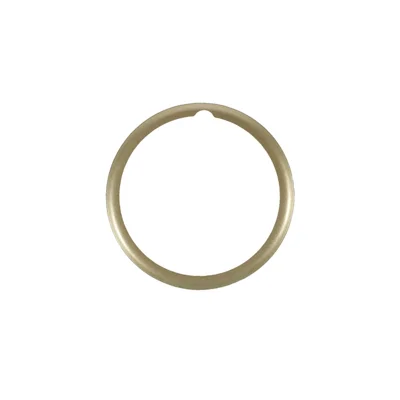 2 unidades de protector de pantalla completa de PMMA para Garmin Lily - Oro