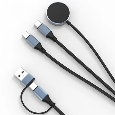 100 W Metallic Omsluttet Vævet Opladningskabel Trådløs Oplader til Computer / Telefon / Ur / Ørepuder USB-C Udgangsledning – Dobbelt Type-C (U33)
