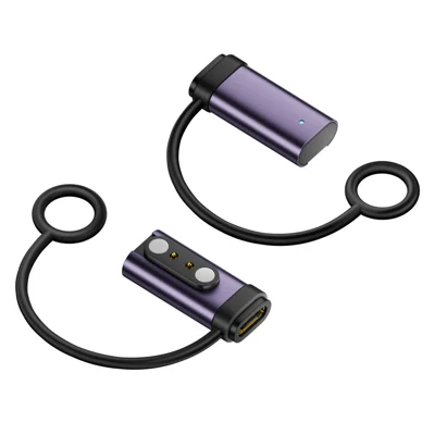 4-2P-L Type-C Female to 4.0mm Pitch 2-Pin Magnetic Charging Adapter for Smart Watch AR Glasses - 4mm/Gray Purple