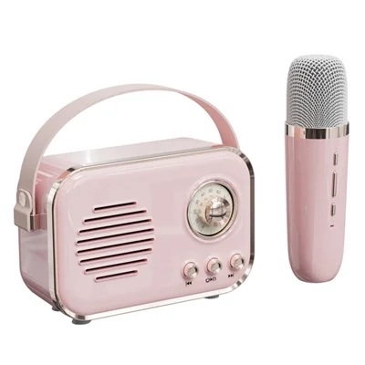 P33 Plus FM Radio Bluetooth-compatible Speaker with Wireless Microphone Home Karaoke Machine - Pink