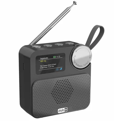 P2D 1,47 inch Draagbare DAB Radio met Bluetooth en TF-kaart MP3-speler - Zwart