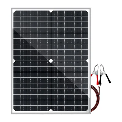 Pannello Solare 40W Caricabatterie Portatile 18V Stazione di Alimentazione Esterna Caricabatterie per Batteria per Camper Campeggio Monitoraggio - Singolo Pannello