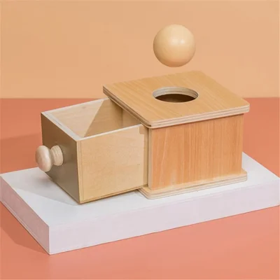 Educational Toys Wooden Coin Ball Object Box Preschool Learning Toy for Infant Toddlers - Style B