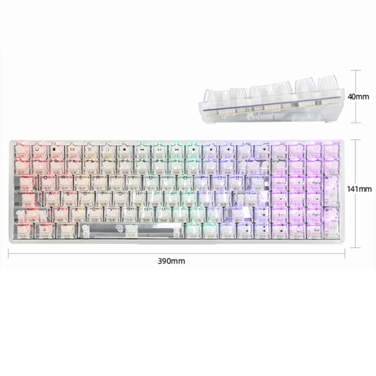 Y-FRUITFUL K10 Mechanical 100-Key Type-C Wired Keyboard with Clear Keycap - Transparent Black