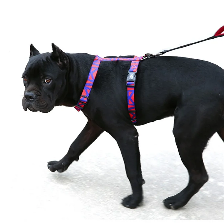 DODOPET H-Shaped Pet Harness Colorful Print Dog Vest Strap with D Ring, Size M - Red+Blue