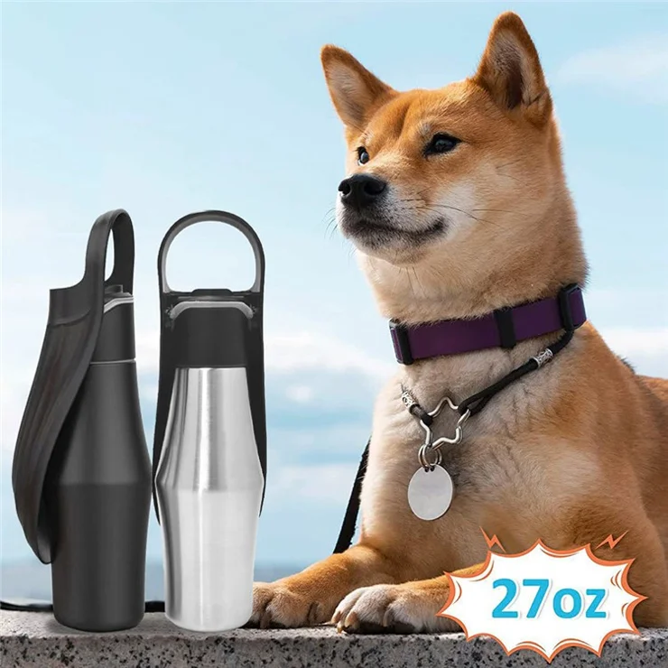 Pet outdoor kettle