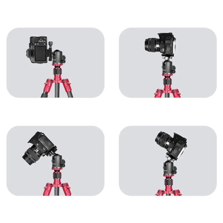NEEWER N55CR SLR Camera Mobile Phone Live Streaming Monopod Tripod Carbon Fiber Photography Tripod Stand