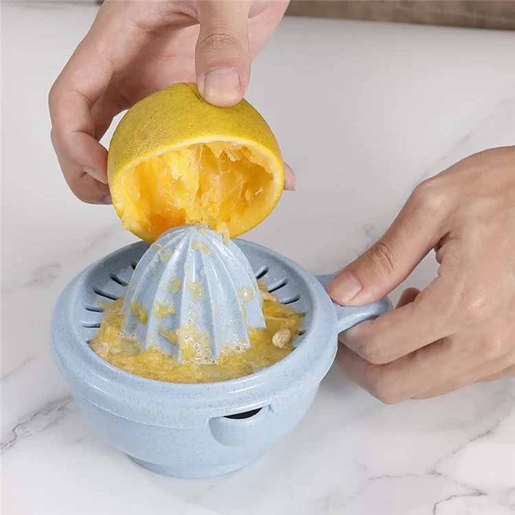 Ensemble de broyeur d'aliments pour bébé en paille de blé + PP Processeur de fruits et légumes Masher (sans BPA, sans certificat FDA) - Vert