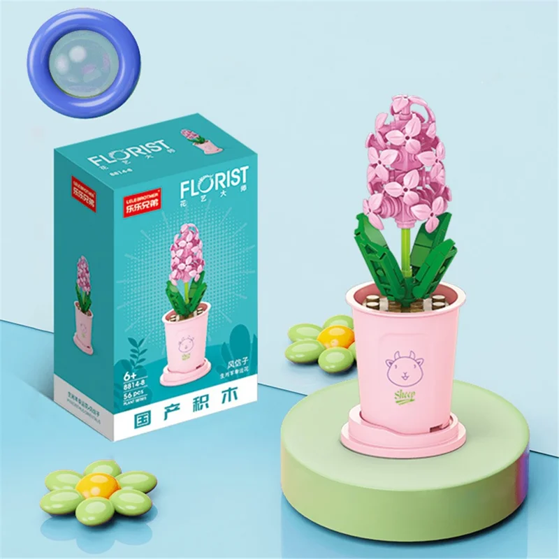 Sukkulente Pflanzenteilchensteine Set - Hyazinthe