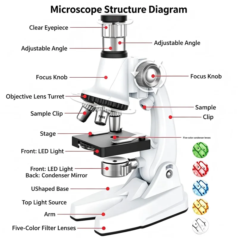 QB3304 Microscópio Infantil com Ampliação de 1200x, Kit de Experiência Científica de Biologia com Luz LED - Branco