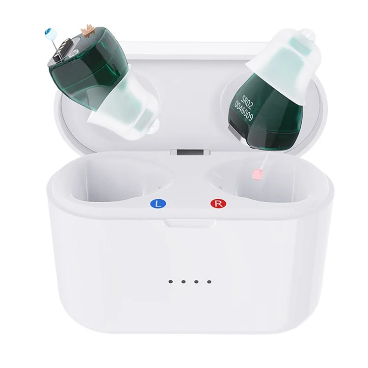 SR02 One Pair Magnetic Charging Hearing Aids Rechargeable Sound Amplifiers Hearing Aid Devices Headsets with Charging Case for Seniors, Adults