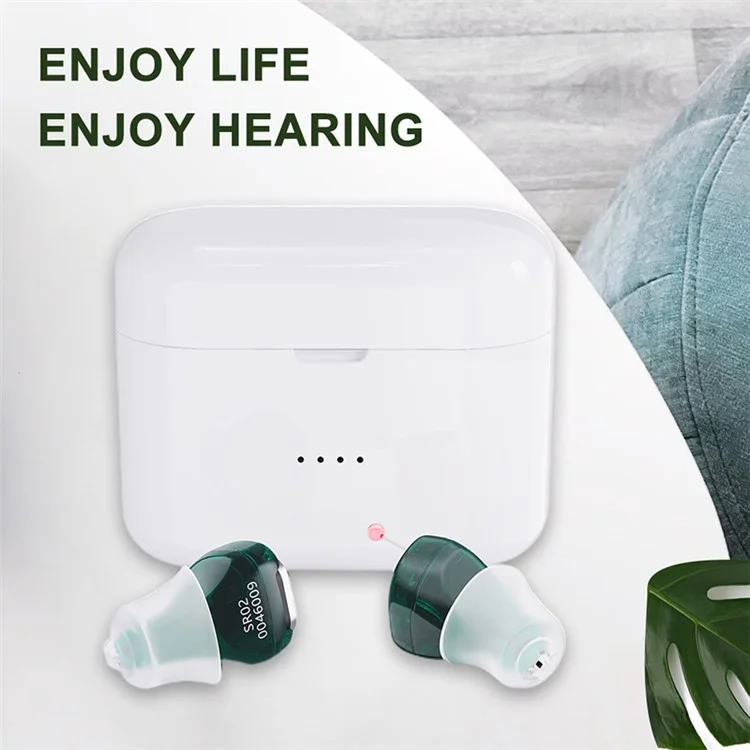 SR02 One Pair Magnetic Charging Hearing Aids Rechargeable Sound Amplifiers Hearing Aid Devices Headsets with Charging Case for Seniors, Adults