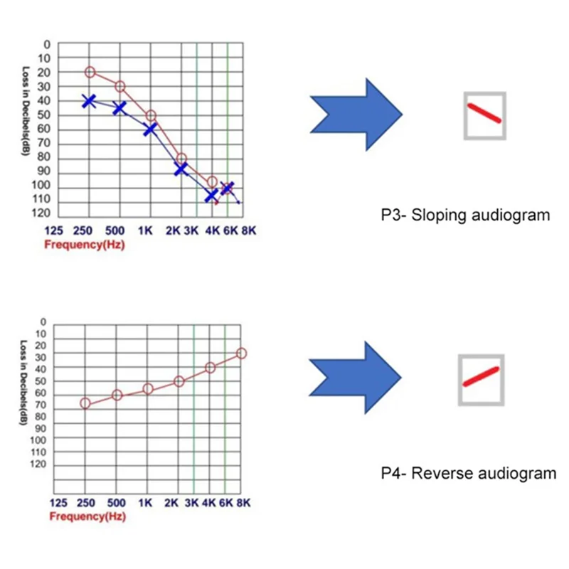 V885P Apparecchio acustico RIC per persone anziane/sorde Orecchio sinistro Anziani Sistema di adattamento automatico Amplificatore digitale del suono Auricolare - Grigio grafite 