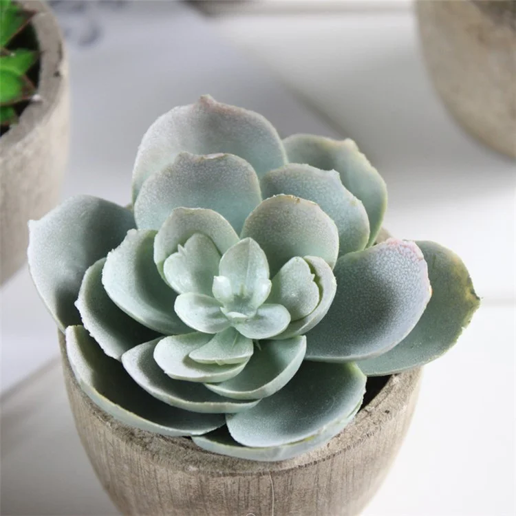 5 PCS Vivid Mini Artificial Succulent Plant Pot Plant Decoration