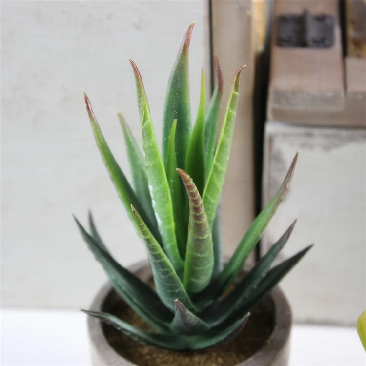 5 PCS Vivid Mini Artificial Succulent Plant Pot Plant Decoration