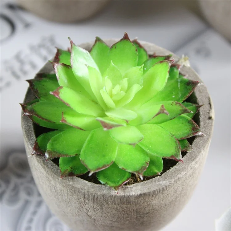 5 PCS Vivid Mini Artificial Succulent Plant Pot Plant Decoration