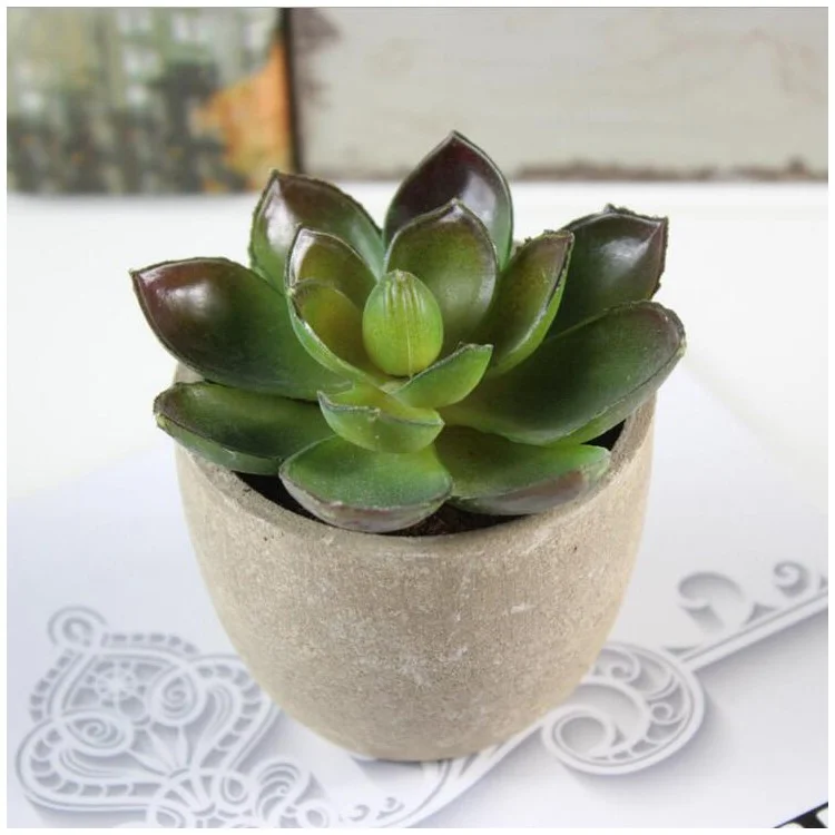 5 PCS Vivid Mini Artificial Succulent Plant Pot Plant Decoration