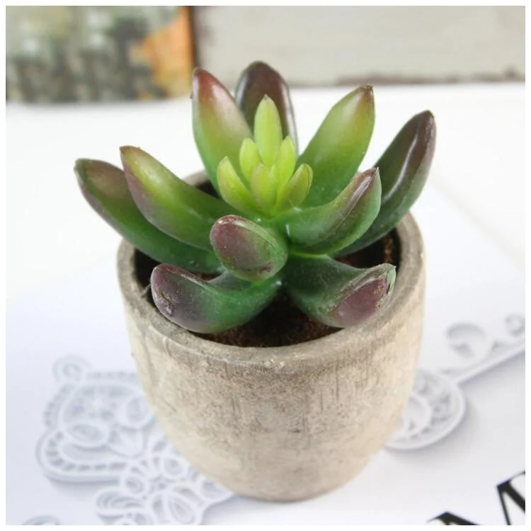5 PCS Vivid Mini Artificial Succulent Plant Pot Plant Decoration