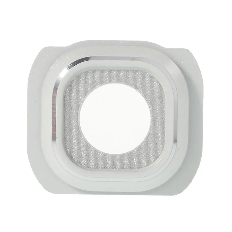 OEM Back Camera Lens Ring Cover for Samsung Galaxy S6 G920 - White