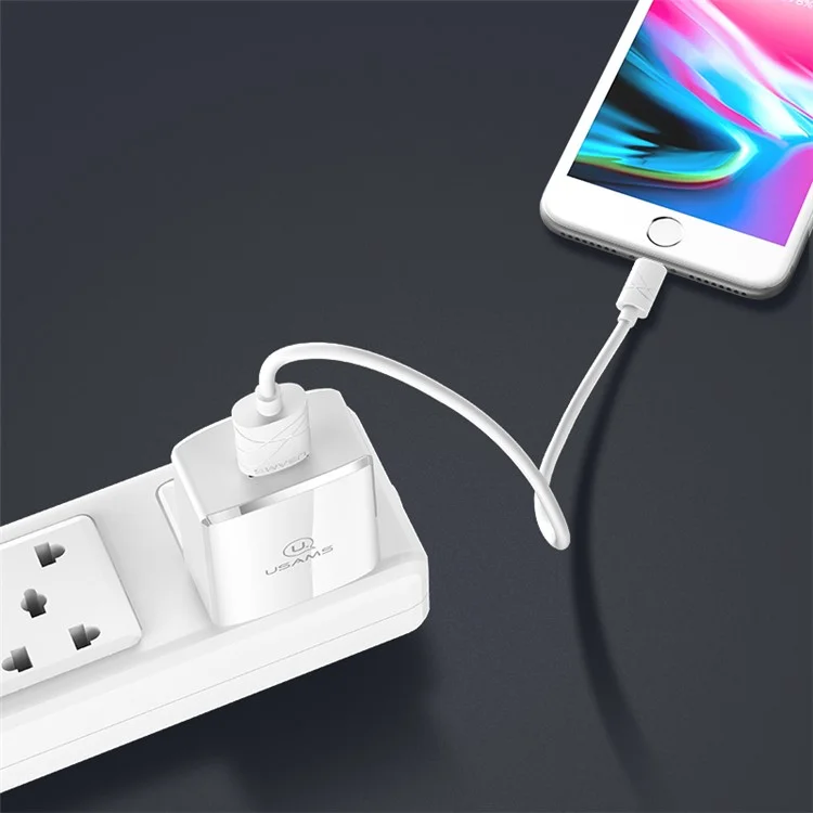USAMS US-CC043 5V 2A Single USB Travel Wall Charger for iPhone Samsung Sony etc. - White/CN Standard Plug