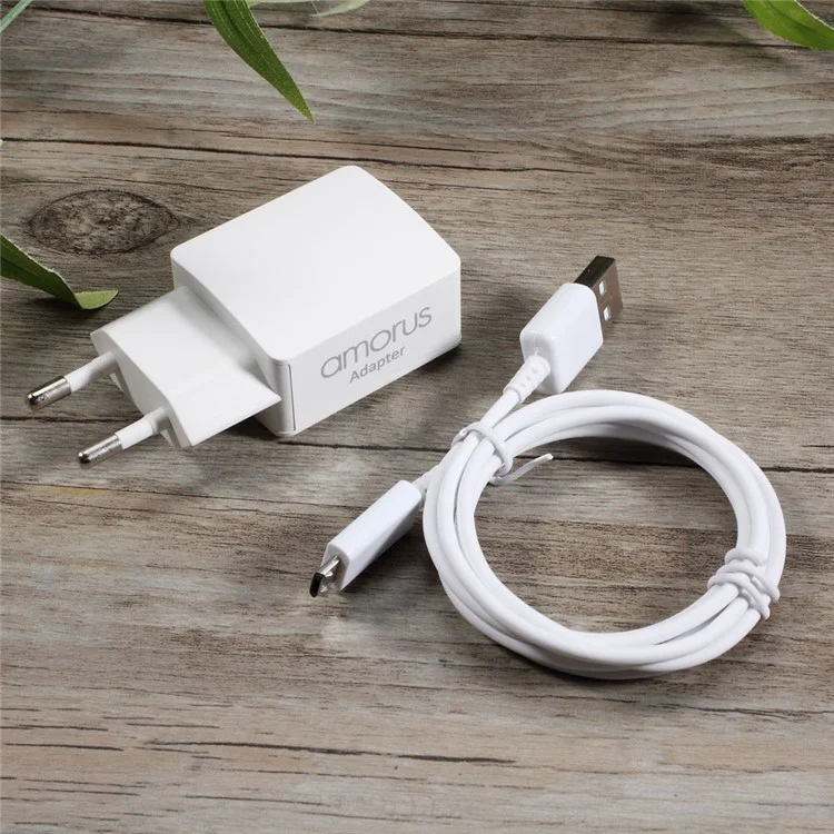 AMORUS NW01 2.1A Dual USB Travel Charger Adapter + Micro USB Cable for Samsung Galaxy S7/ Huawei Y5 (2017) Etc - EU Plug