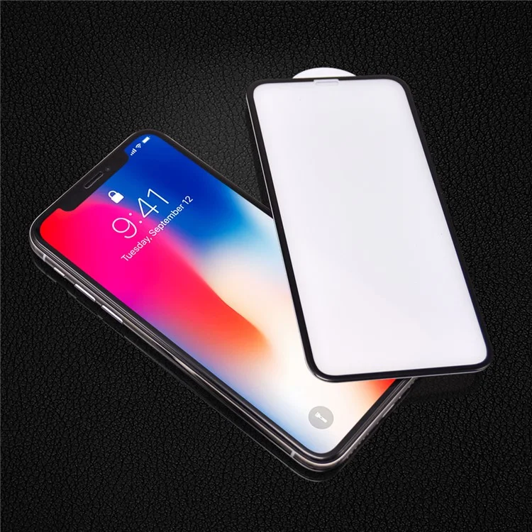 PDGD 3D Arc Edges Tempered Glass Full Screen Coverage Protector Film 0.3mm for iPhone X - Black