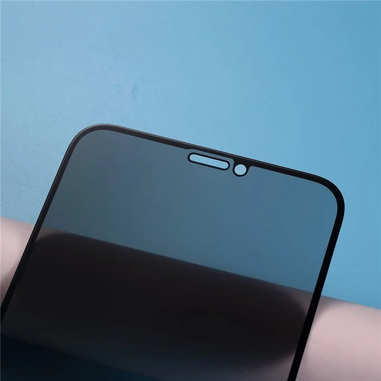 RURIHAI 0.26mm 180 Degree Anti-peep Full Screen Tempered Glass Guard para iPhone 11 Pro 5.8 pulgadas
