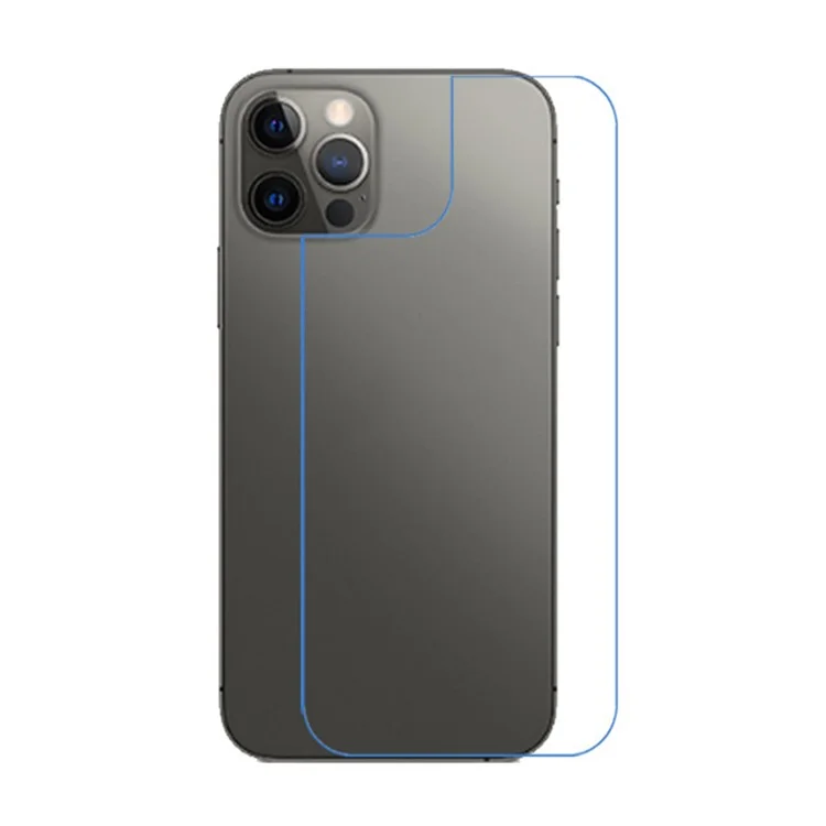HD Anti-scratch Phone Back Protector Film for iPhone 12 Pro / iPhone 12