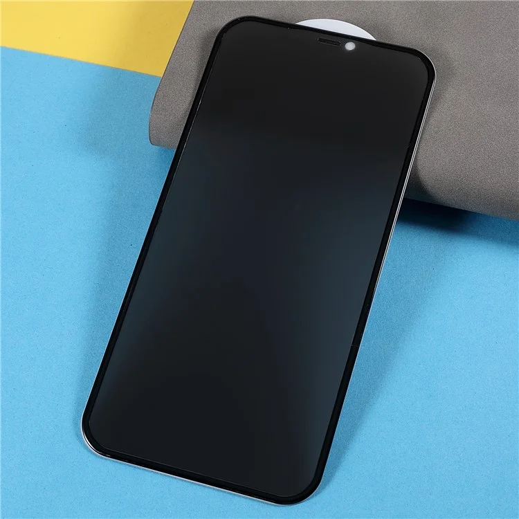 For iPhone 11 Pro Max/XS Max 6.5 inch Wear-resistant Anti-spy Full Glue HD Full Coverage Matte Silk Printing Tempered Glass Screen Protector Film with Dust-proof Net