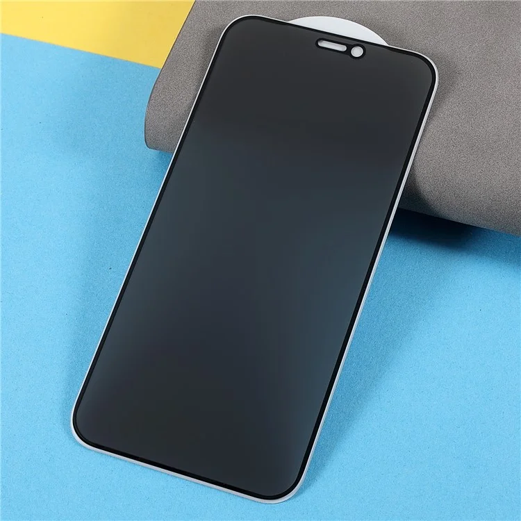 Pour iPhone 12 mini 5.4 pouces Écran Protecteur en Verre Trempé Matte à Couverture Complète avec Impression Soie et Colle Pleine pour une Protection Anti-espionnage