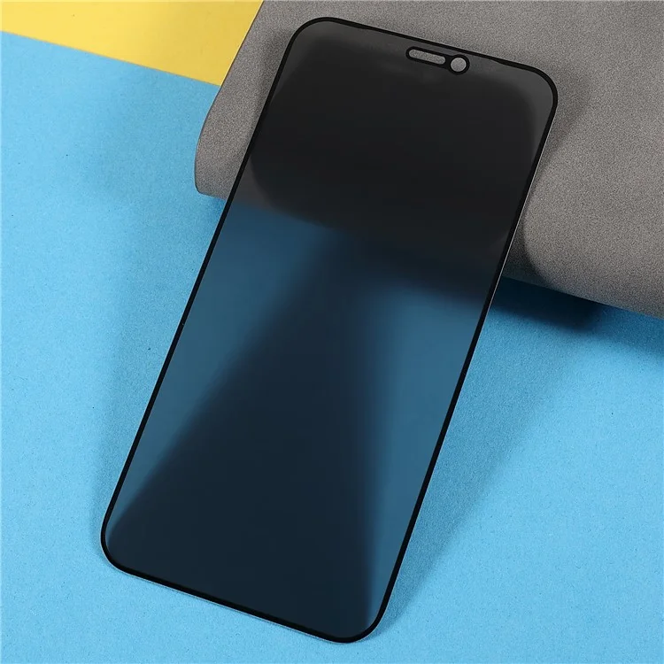 Pour iPhone 12 mini 5.4 pouces Écran Protecteur en Verre Trempé Matte à Couverture Complète avec Impression Soie et Colle Pleine pour une Protection Anti-espionnage